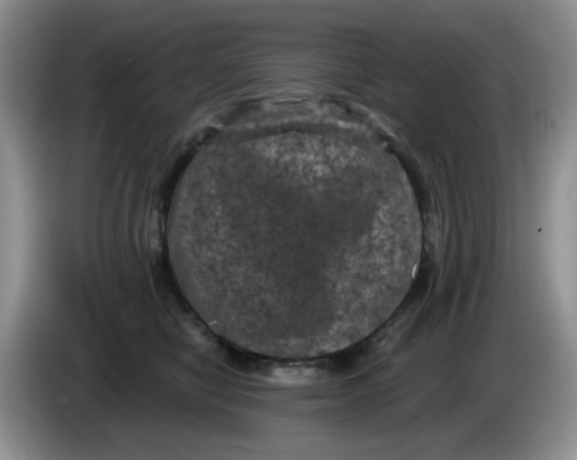 X0000084050470200703092056