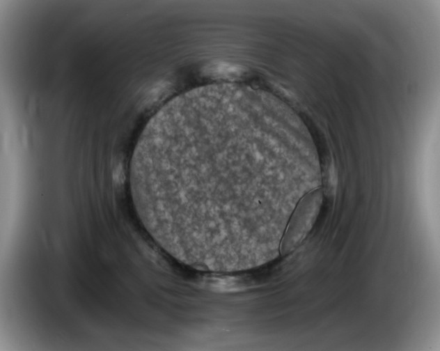 X0000084050472200703092056