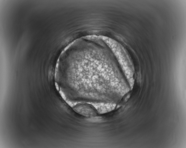 X0000084050476200703092056