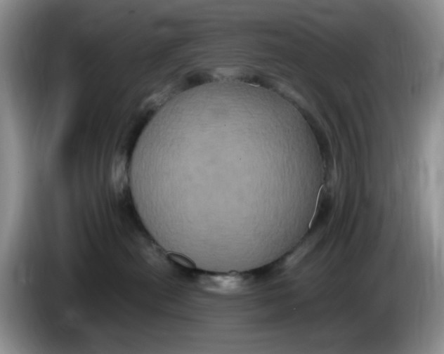 X0000084050478200703092056