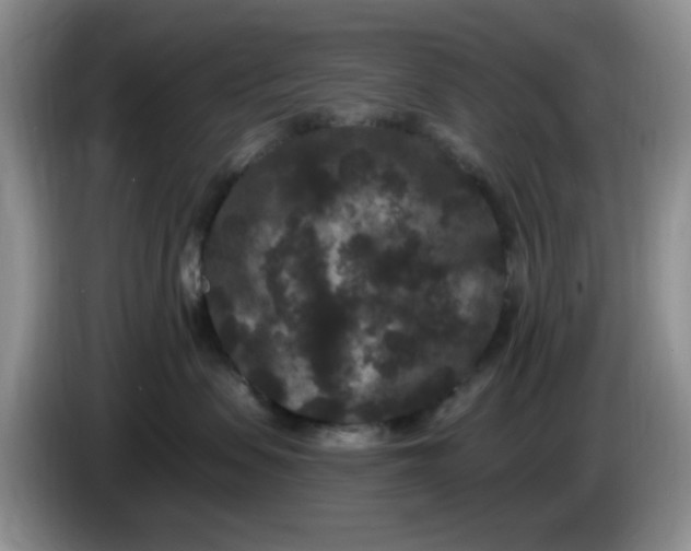 X0000084050479200703092056