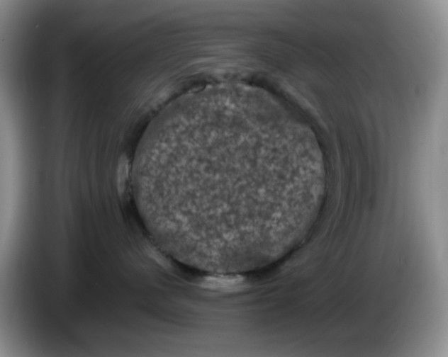 X0000084050480200703092056