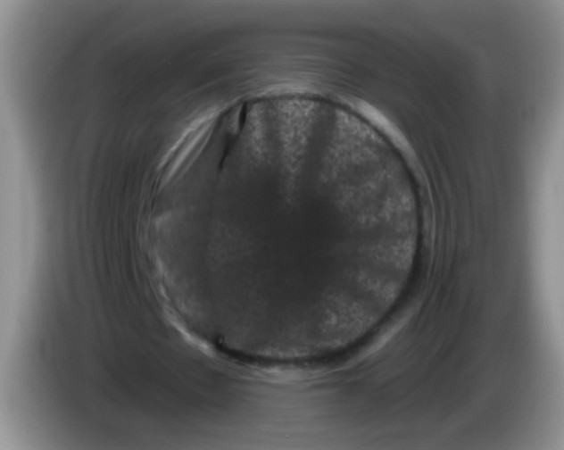 X0000084050481200703092055