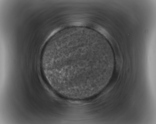 X0000084050482200703092055