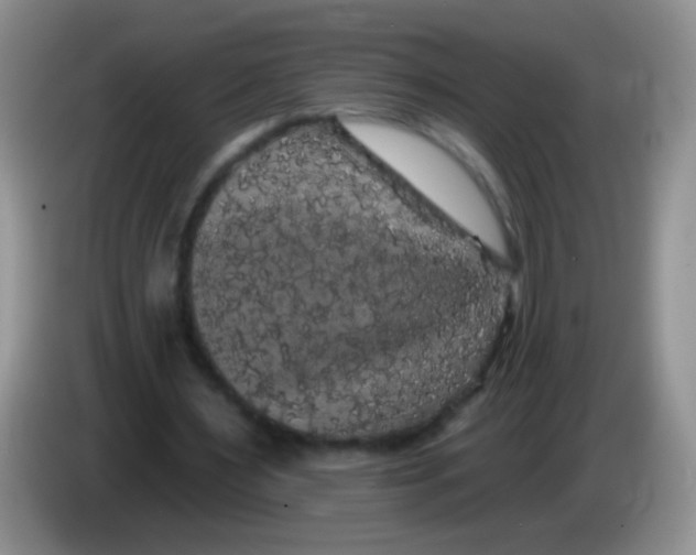 X0000084050483200703092055