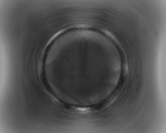 X0000084050484200703092055