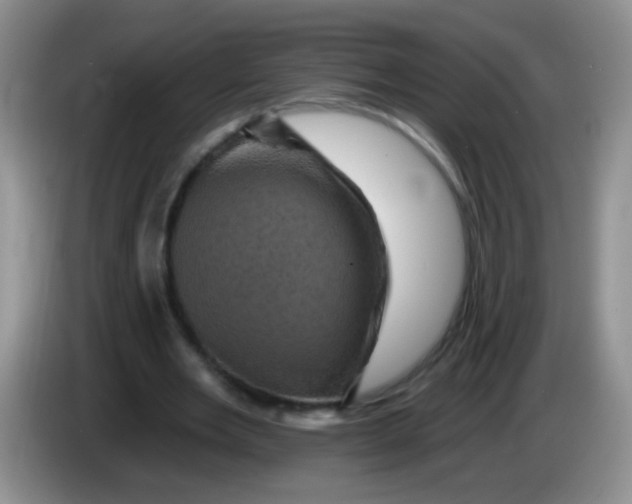 X0000084050485200703092055