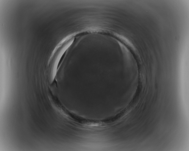 X0000084050488200703092055