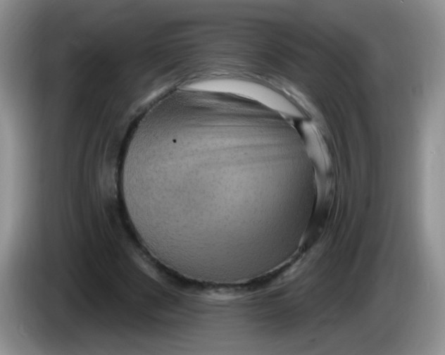 X0000084050489200703092055