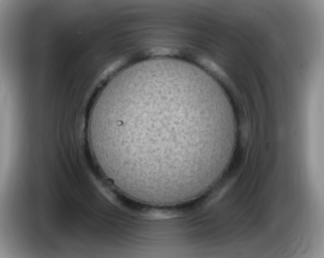 X0000084050490200703092055