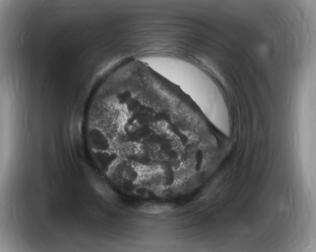 X0000084050491200703092055