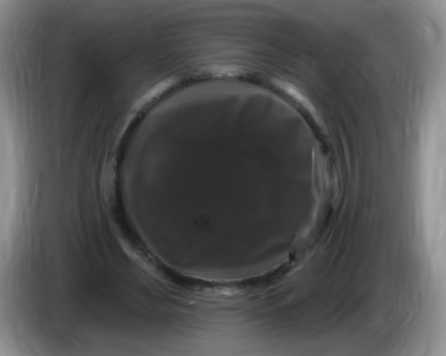 X0000084050492200703092055