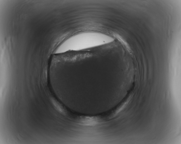 X0000084050493200703092055