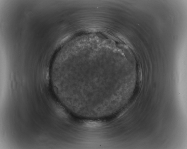 X0000084050494200703092055