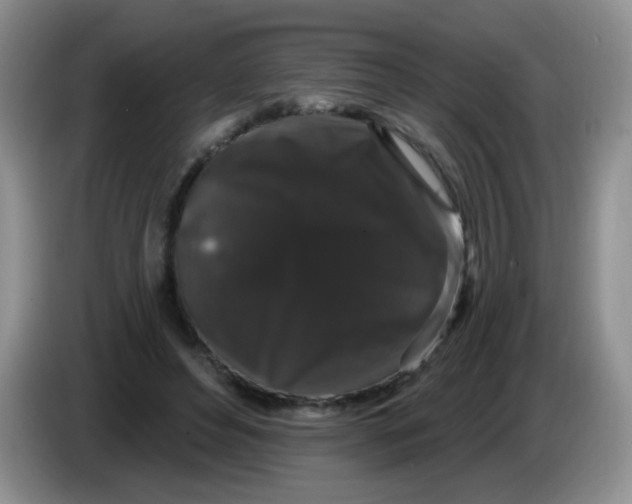 X0000084050496200703092055