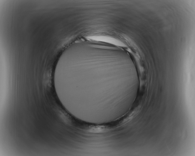 X0000084050497200703092055