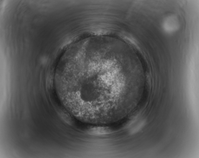 X0000084050499200703092055