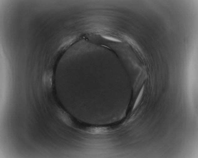 X0000084050501200703092055