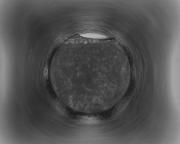 X0000084050502200703092055