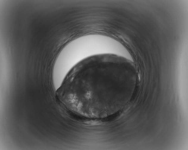 X0000084050503200703092055