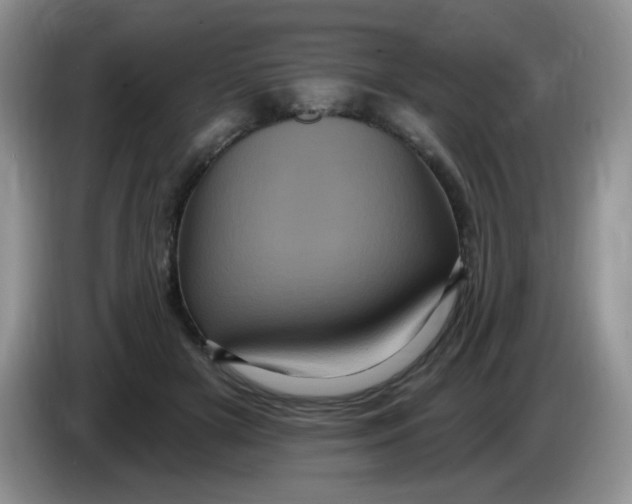 X0000084050505200703092055