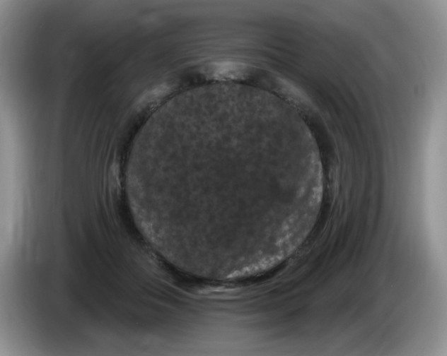 X0000084050506200703092055