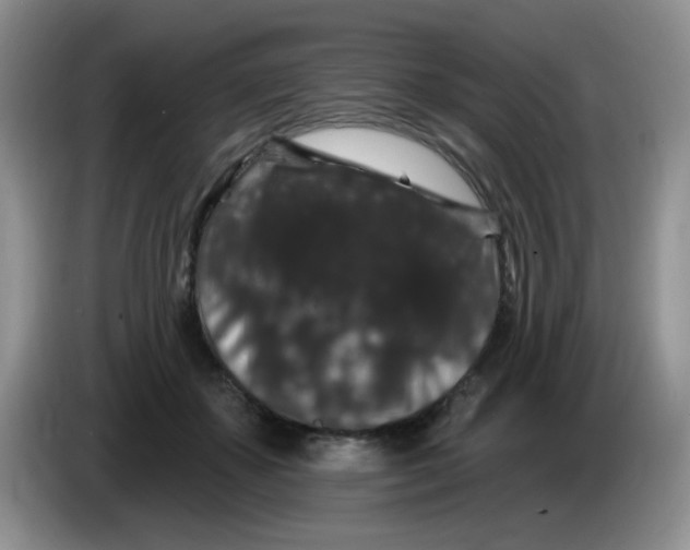 X0000084050507200703092055