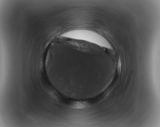 X0000084050508200703092055