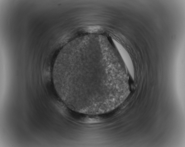 X0000084050510200703092055