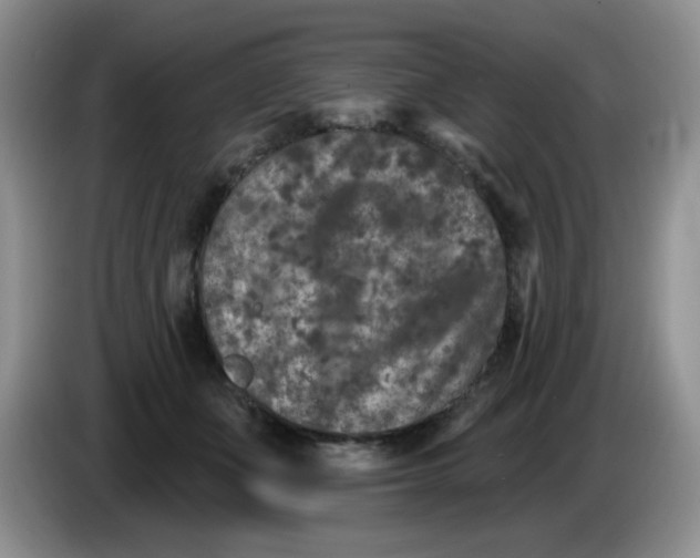 X0000084050511200703092055