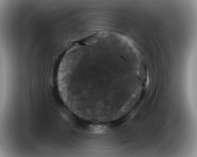 X0000084050512200703092055