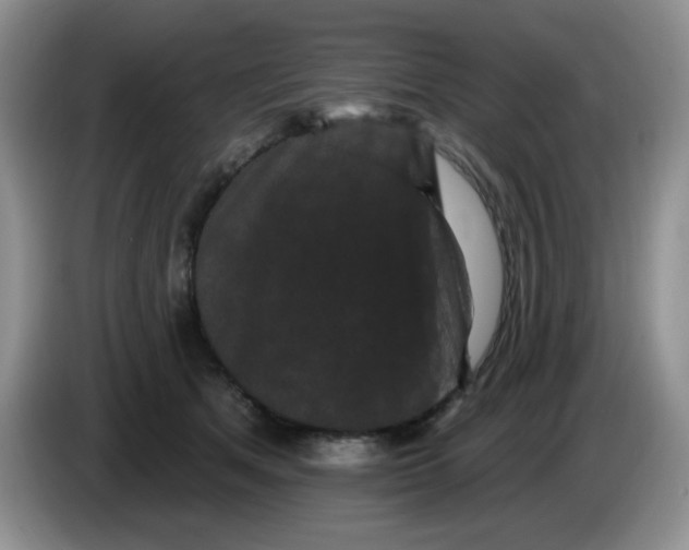 X0000084050513200703092055