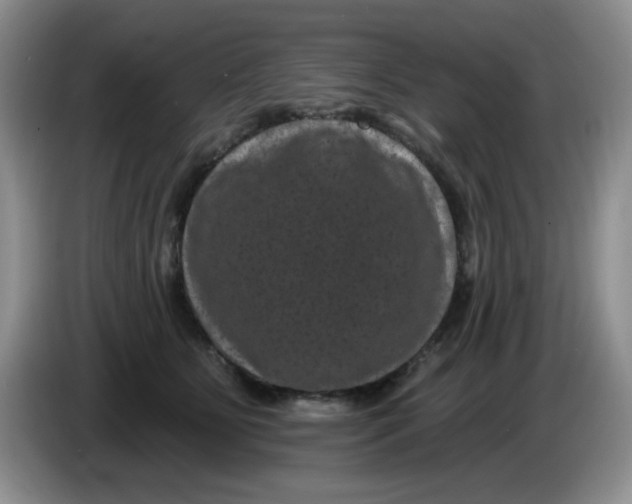 X0000084050515200703092055