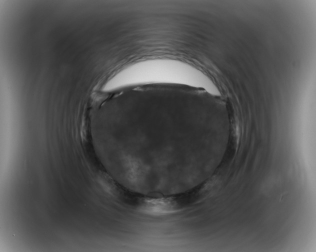 X0000084050516200703092055