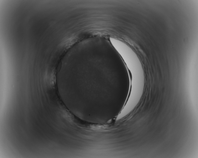 X0000084050517200703092055