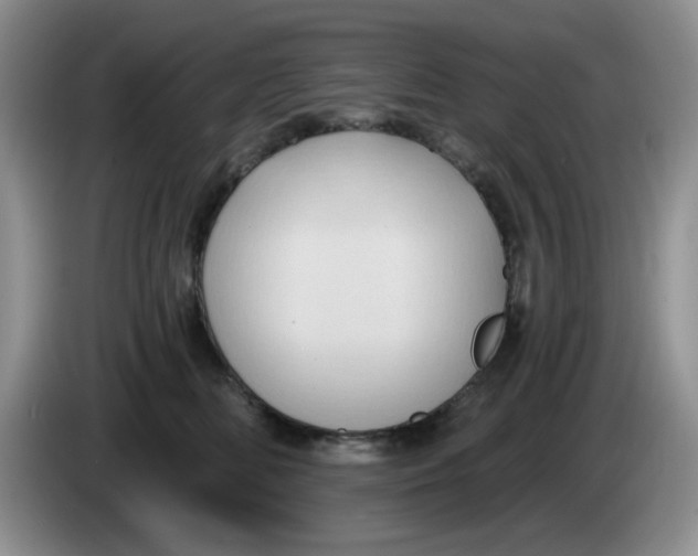 X0000084050518200703092055