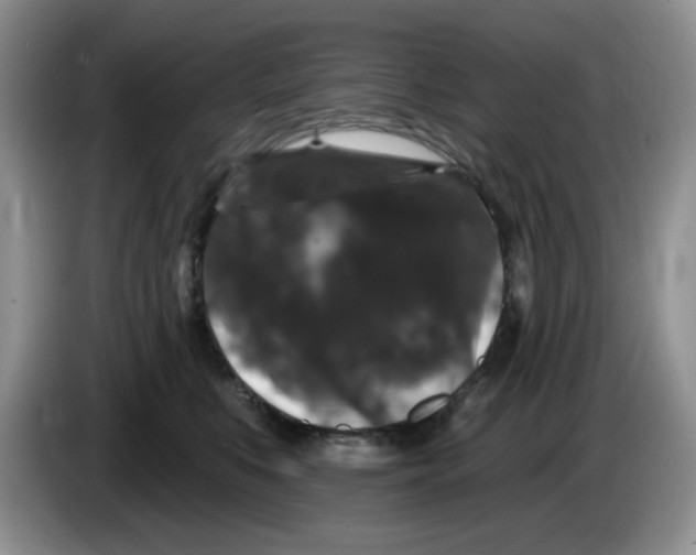 X0000084050519200703092055