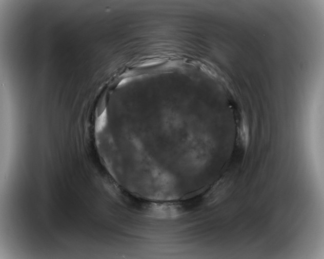 X0000084050520200703092055