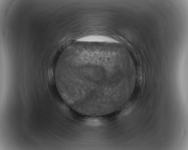 X0000084050523200703092055