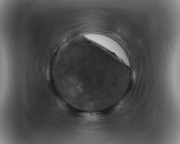 X0000084050524200703092055