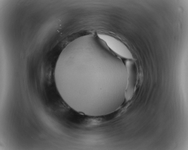 X0000084050525200703092055