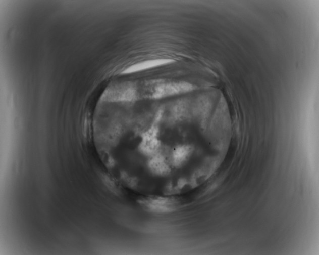 X0000084050527200703092055