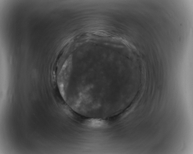 X0000084050528200703092055