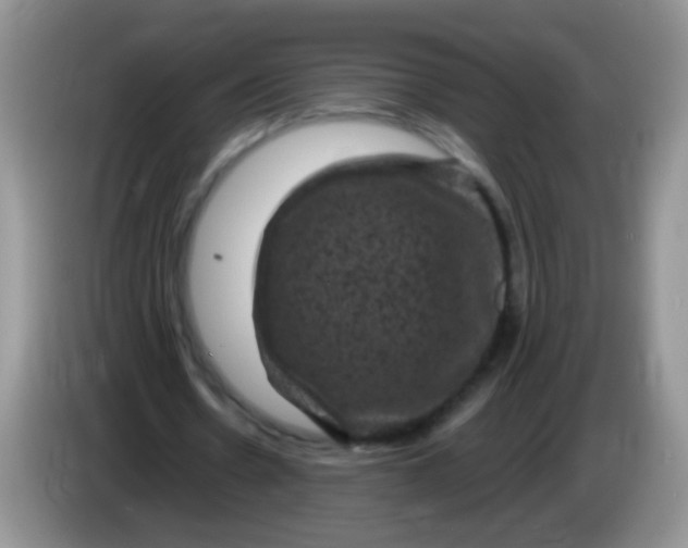 X0000084050530200703092054