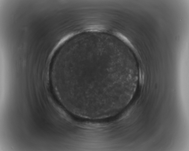 X0000084050531200703092054