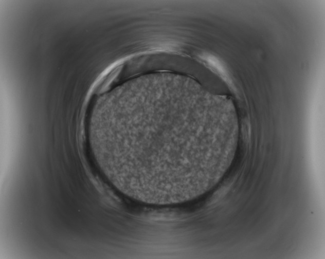 X0000084050532200703092054