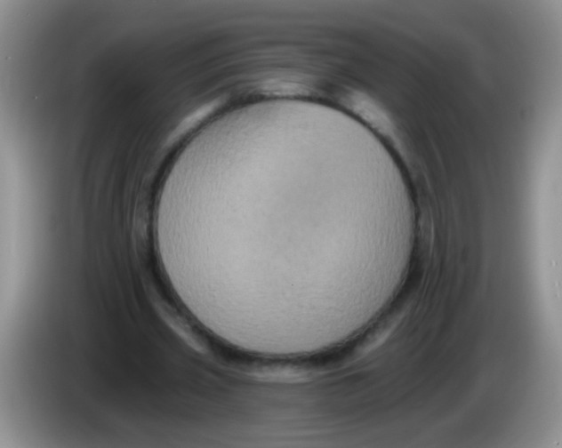 X0000084050533200703092054