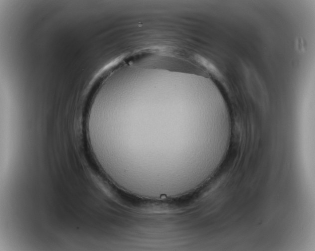 X0000084050535200703092054