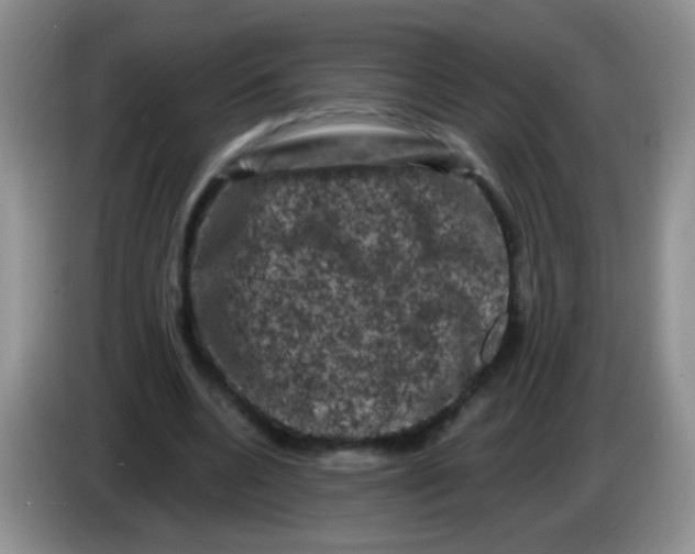 X0000084050536200703092054