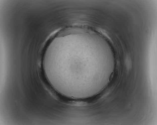 X0000084050539200703092054